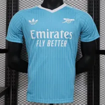 24/25 ARS Sky Blue Special Edition Player Version  Soccer Jersey