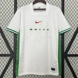 24/25 Nigeria Home Fans Soccer Jersey