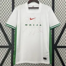 24/25 Nigeria Home Fans Soccer Jersey