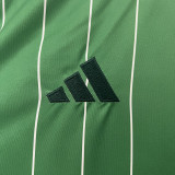 24/25 Celtic Green Special Edition Fans Soccer Jersey