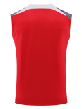 24/25 LIV Red Gray Shoulder  Tank top Training Shirts（灰肩）