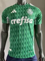 24/25 Palmeiras Green Special Edition Player Version Soccer Jersey