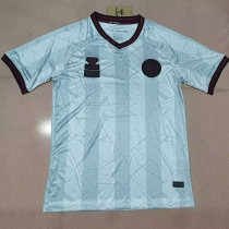 24/25 Denmark Light Blue Special Edition  Fans Soccer Jersey