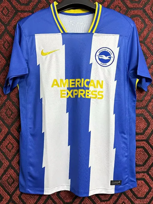 24/25 Brighton Special Edition Fans Soccer Jersey