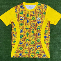 24/25 Ghana Yellow  Fans Pre Match Training Shirts