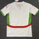 24/25 Morocco Away  Fans Soccer Jersey