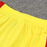 24/25 LIV Yellow & Red Training Short Suit