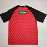 25/26 Palestino Deportivo Red Edition Fans Soccer Jersey