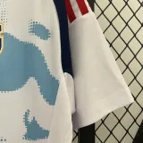 24/25 Costa Rica Away Fans Soccer Jersey