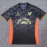 24/25  Venezia FC Home Fans Soccer Jersey