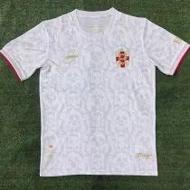24/25 England White Lion Head Special Edition Fans Soccer Jersey