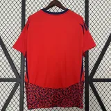 24/25 Costa Rica Home Fans Soccer Jersey