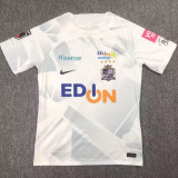 24/25 Sanfrecce Hiroshima Away Fans Soccer Jersey 广岛三箭