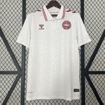 2024 Denmark Away Fans Soccer Jersey(胶章)