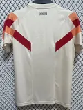 24/25 Lyon Yellow Special Edition Fans Soccer Jersey
