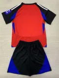 24/25 Hamburger Third  Kids  Soccer Jersey