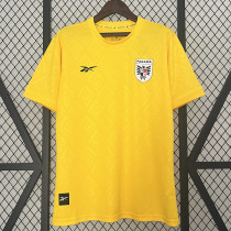 24/25  Panama Yellow Fans Soccer Jersey（圆领）