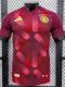 2025 Germany Away Player Version Soccer Jersey带四星