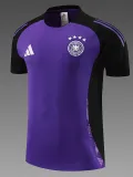 24/25 Germany Purple Training Short Suit