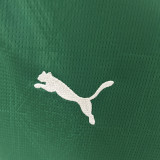 25/26  Palmeiras Home Women Soccer Jersey(女）