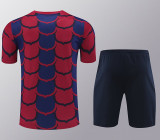 24/25  BAR Red&Blue Training Short Suit