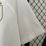 24/25 Uruguay White Special Edition  Fans Soccer Jersey