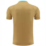 24/25 Argentina Mud Yellow Training Short Suit