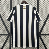 24/25 Santos FC Away Fans Soccer Jersey
