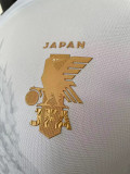 2023 Japan White Gold Special Edition Player Version Training Shirts (金边)