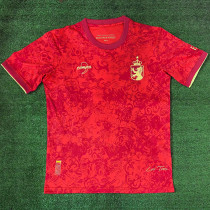 2024 Spain Red Special Edition Fans Soccer Jersey