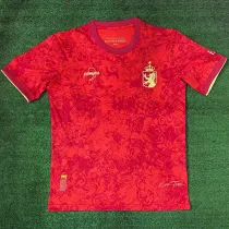 2024 Spain Red Special Edition Fans Soccer Jersey
