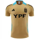 24/25 Argentina Mud Yellow Training Short Suit