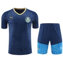 24/25  Palmeiras Blue Training Short Suit