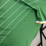 24/25 Celtic Green Special Edition Fans Soccer Jersey