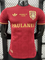 24/25 Bayern 125th Anniversary Edition  Player Version Soccer Jersey(胸前字）