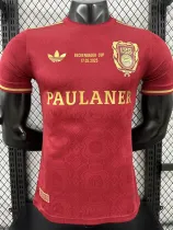 24/25 Bayern 125th Anniversary Edition  Player Version Soccer Jersey(胸前字）