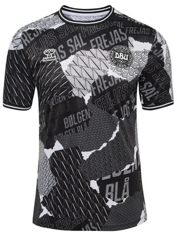 2024 Denmark Grey Black Training Shirts