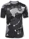 2024 Denmark Grey Black Training Shirts