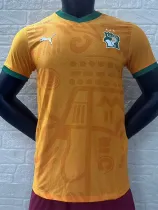 2024 Cote d'Ivoire Home Player Version Soccer Jersey