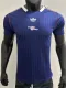 25/26 ARS leisure Royal Blue Edition Player Version T- Shirt