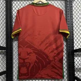 25/26 Cameroon Away Fans Soccer Jersey
