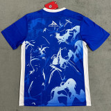 24/25 Cruz Azul Blue Special Edition Fans Soccer Jersey