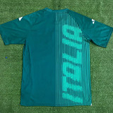 2024 Italy Green Training Shirts