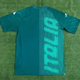 2024 Italy Green Training Shirts