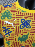 24/25 Ghana Yellow  Player Version Pre Match Training Shirts