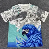 25/26 Brazil Parrot Special Edition White Fans Soccer Jersey