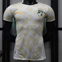 24/25 Cote d'Ivoire Away Player Version Soccer Jersey