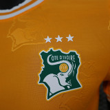 24/25 Cote d'Ivoire Orange Special Edition Player Version Soccer Jersey