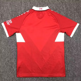 24/25 Stuttgart Away Fans Soccer Jersey