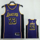 22/23 LAKERS JAMES #23 Purple Top Quality Hot Pressing NBA Jersey (Trapeze Edition)
